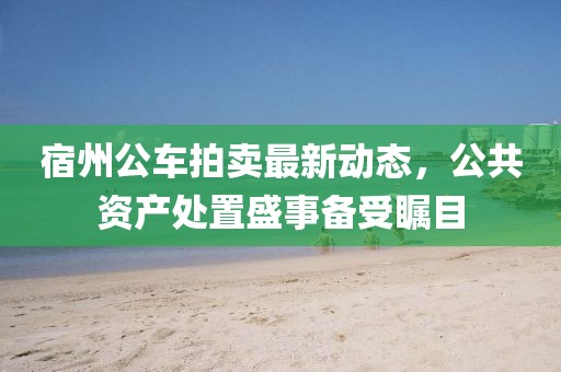 宿州公車拍賣最新動態(tài)，公共資產(chǎn)處置盛事備受矚目