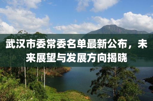 武漢市委常委名單最新公布，未來(lái)展望與發(fā)展方向揭曉