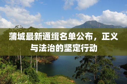 蒲城最新通緝名單公布，正義與法治的堅(jiān)定行動(dòng)
