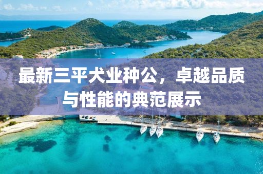 最新三平犬業(yè)種公，卓越品質(zhì)與性能的典范展示