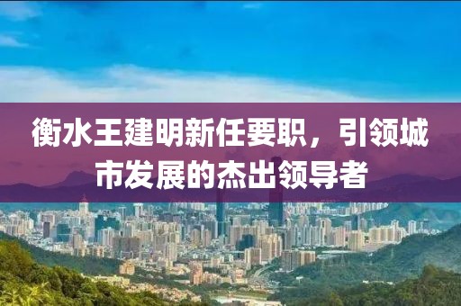 衡水王建明新任要職，引領城市發(fā)展的杰出領導者