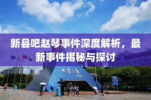 新縣吧趙琴事件深度解析，最新事件揭秘與探討