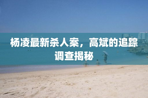 楊凌最新殺人案，高斌的追蹤調(diào)查揭秘