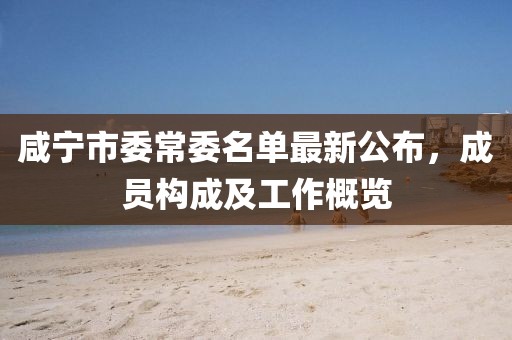 咸寧市委常委名單最新公布，成員構(gòu)成及工作概覽