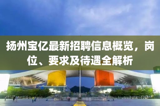 揚(yáng)州寶億最新招聘信息概覽，崗位、要求及待遇全解析