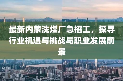 最新內蒙洗煤廠急招工，探尋行業(yè)機遇與挑戰(zhàn)與職業(yè)發(fā)展前景