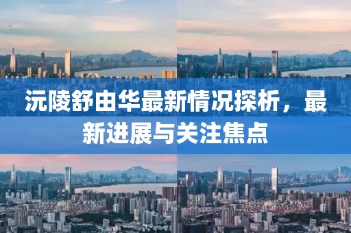 沅陵舒由華最新情況探析，最新進(jìn)展與關(guān)注焦點(diǎn)