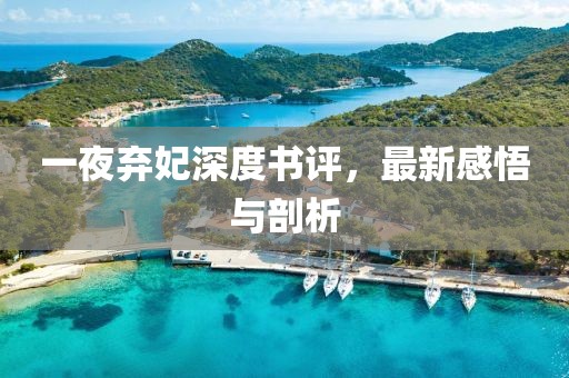 一夜棄妃深度書評，最新感悟與剖析