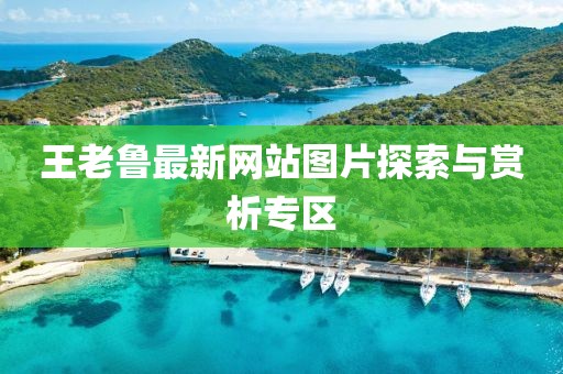 王老魯最新網(wǎng)站圖片探索與賞析專區(qū)