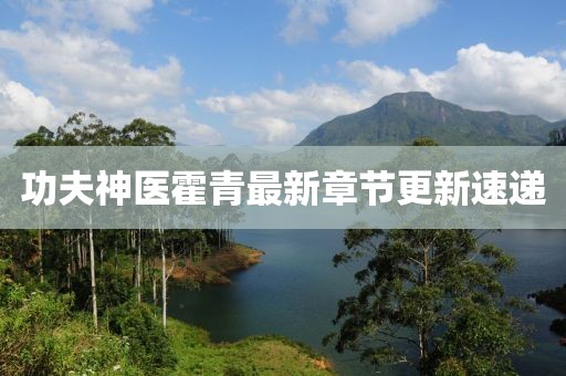 功夫神醫(yī)霍青最新章節(jié)更新速遞