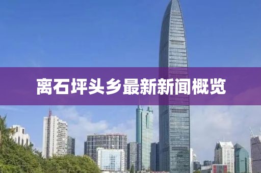 離石坪頭鄉(xiāng)最新新聞概覽