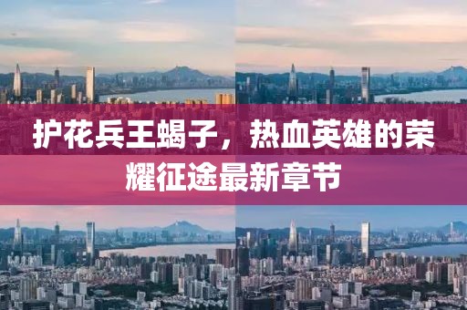 護(hù)花兵王蝎子，熱血英雄的榮耀征途最新章節(jié)