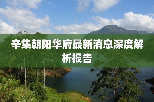 辛集朝陽華府最新消息深度解析報告