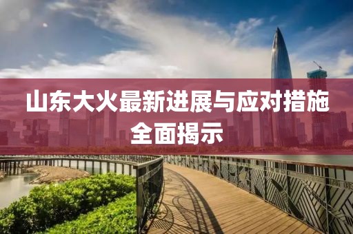 山東大火最新進(jìn)展與應(yīng)對措施全面揭示