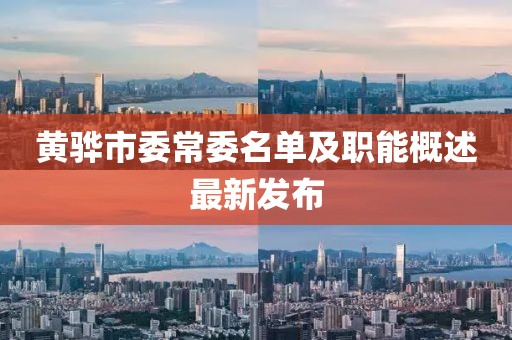 黃驊市委常委名單及職能概述最新發(fā)布