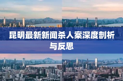 昆明最新新聞殺人案深度剖析與反思