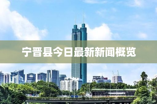 寧晉縣今日最新新聞概覽