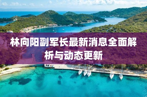 林向陽副軍長最新消息全面解析與動態(tài)更新
