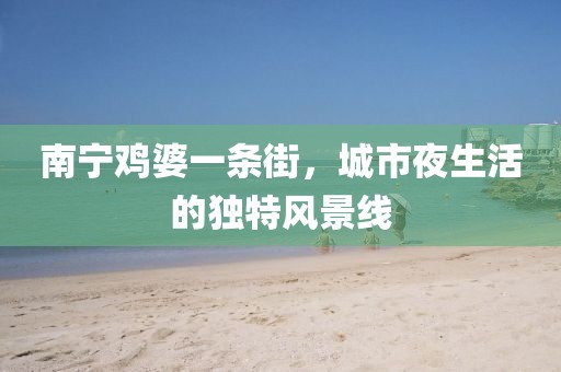 南寧雞婆一條街，城市夜生活的獨特風(fēng)景線