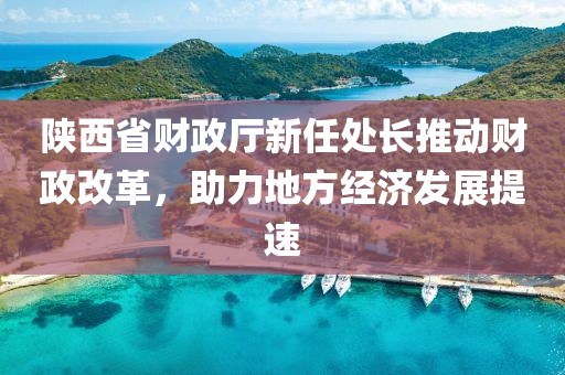 陜西省財政廳新任處長推動財政改革，助力地方經(jīng)濟發(fā)展提速