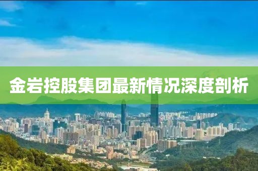 金巖控股集團最新情況深度剖析