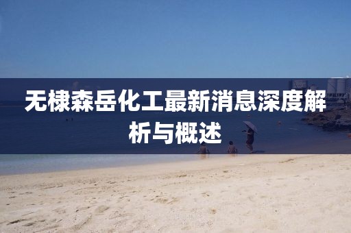 無棣森岳化工最新消息深度解析與概述