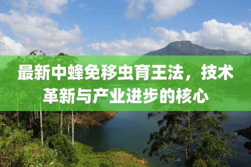 最新中蜂免移蟲(chóng)育王法，技術(shù)革新與產(chǎn)業(yè)進(jìn)步的核心
