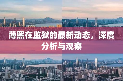 薄熙在監(jiān)獄的最新動態(tài)，深度分析與觀察