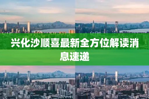 興化沙順喜最新全方位解讀消息速遞