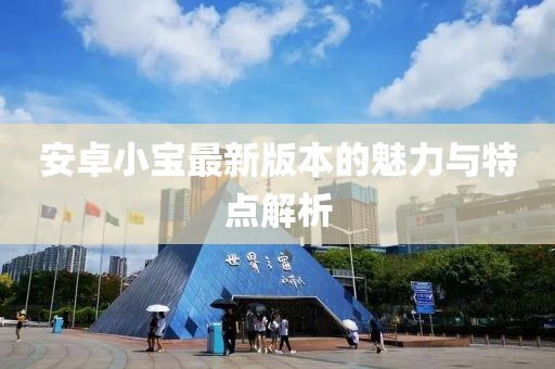 安卓小寶最新版本的魅力與特點解析