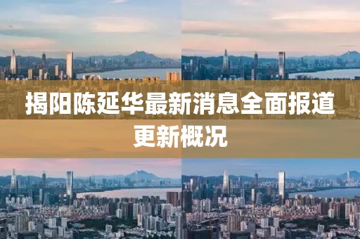 揭陽(yáng)陳延華最新消息全面報(bào)道更新概況