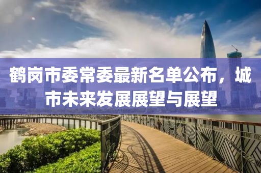 鶴崗市委常委最新名單公布，城市未來發(fā)展展望與展望