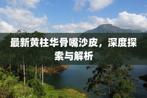 最新黃柱華骨嘴沙皮，深度探索與解析