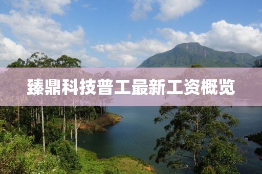 臻鼎科技普工最新工資概覽