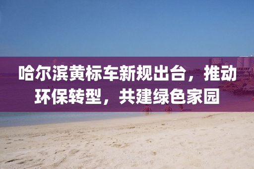 哈爾濱黃標(biāo)車新規(guī)出臺(tái)，推動(dòng)環(huán)保轉(zhuǎn)型，共建綠色家園
