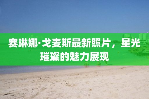 賽琳娜·戈麥斯最新照片，星光璀璨的魅力展現(xiàn)