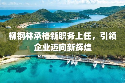 柳鋼林承格新職務(wù)上任，引領(lǐng)企業(yè)邁向新輝煌