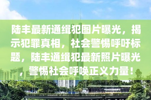 陸豐最新通緝犯圖片曝光，揭示犯罪真相，社會警惕呼吁標題，陸豐通緝犯最新照片曝光，警惕社會呼喚正義力量！