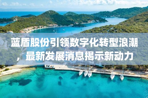 藍(lán)盾股份引領(lǐng)數(shù)字化轉(zhuǎn)型浪潮，最新發(fā)展消息揭示新動(dòng)力