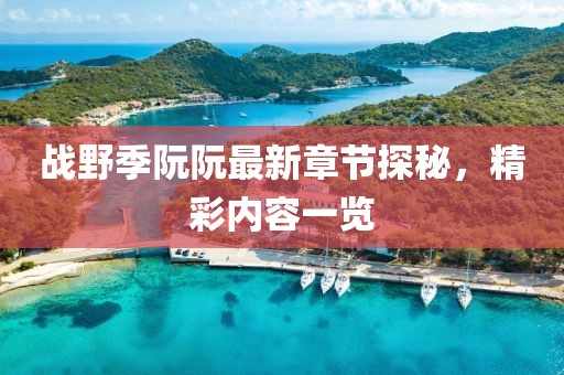 戰(zhàn)野季阮阮最新章節(jié)探秘，精彩內(nèi)容一覽