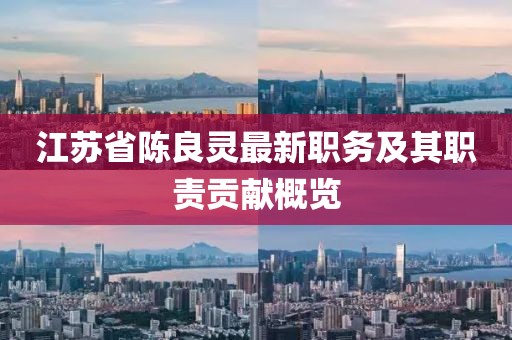 江蘇省陳良靈最新職務(wù)及其職責(zé)貢獻(xiàn)概覽