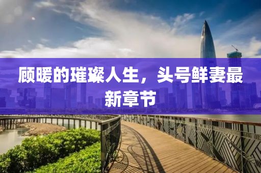 顧暖的璀璨人生，頭號(hào)鮮妻最新章節(jié)