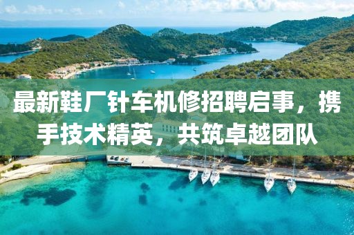 最新鞋廠針車機修招聘啟事，攜手技術(shù)精英，共筑卓越團(tuán)隊