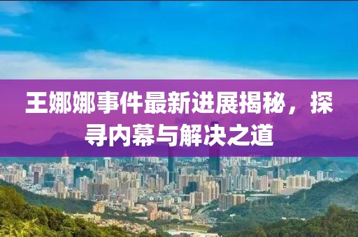王娜娜事件最新進展揭秘，探尋內(nèi)幕與解決之道
