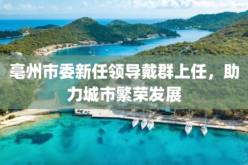 亳州市委新任領(lǐng)導(dǎo)戴群上任，助力城市繁榮發(fā)展