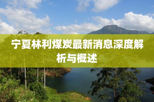 寧夏林利煤炭最新消息深度解析與概述
