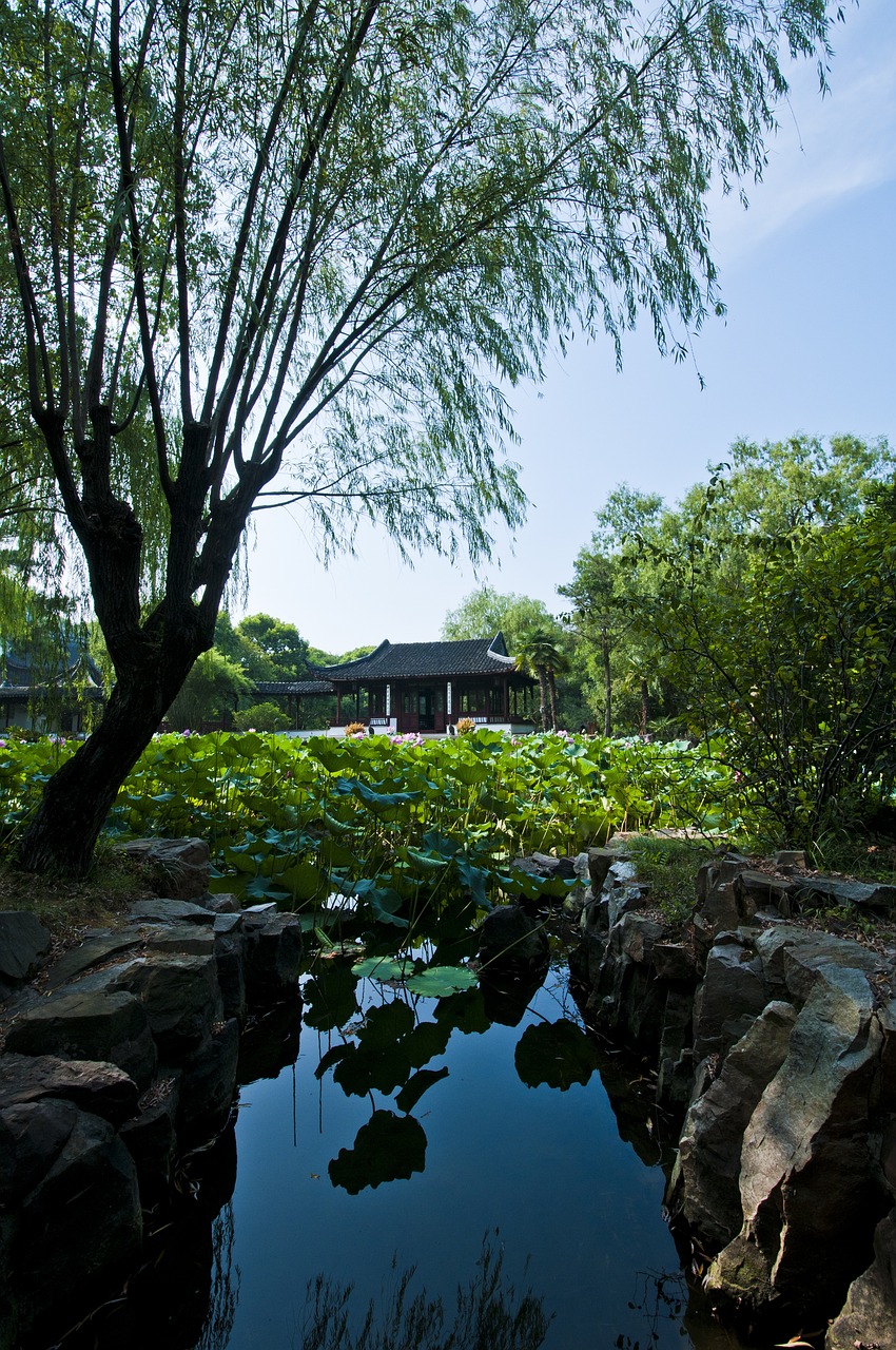 津雄鐵路最新進(jìn)展、影響與展望，揭秘最新動(dòng)態(tài)與未來趨勢