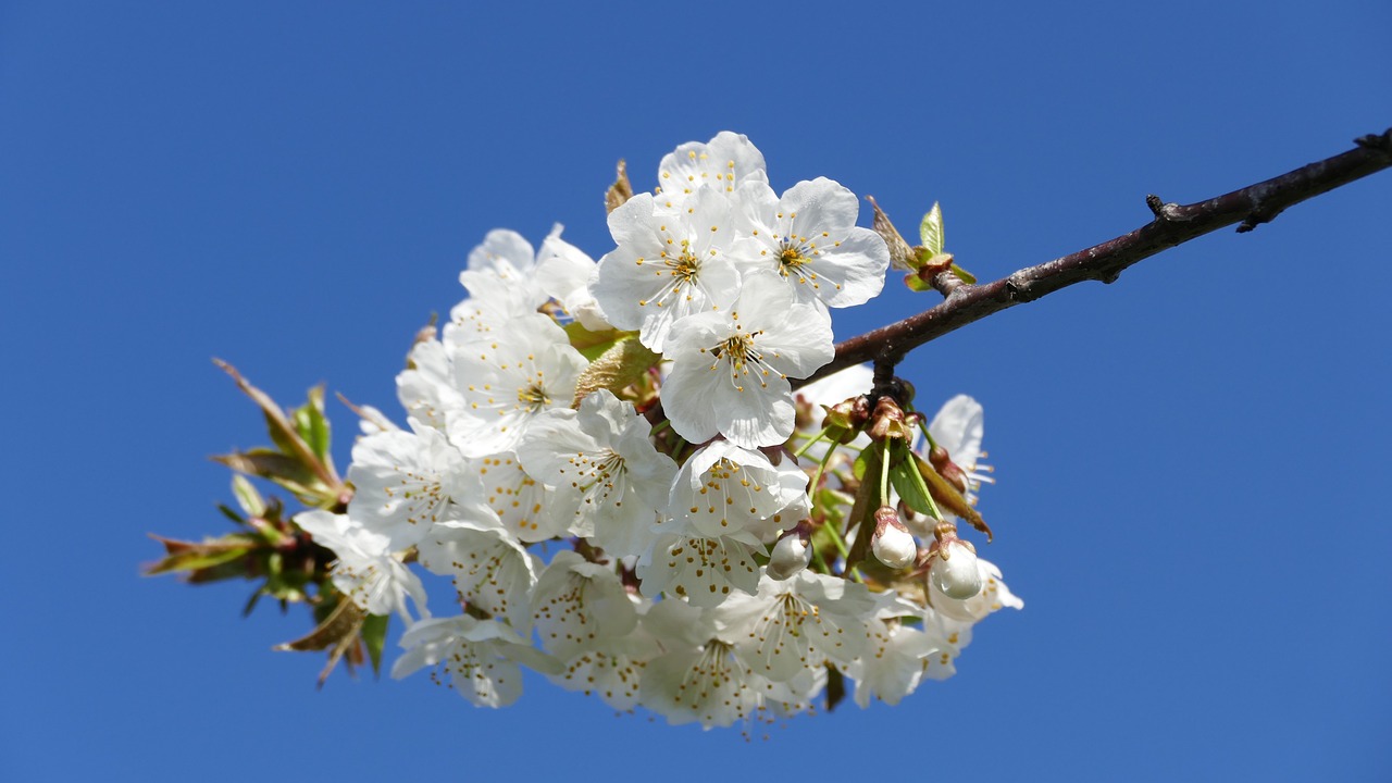 興永郴贛鐵路進(jìn)展順利，助力區(qū)域經(jīng)濟(jì)發(fā)展新動(dòng)態(tài)