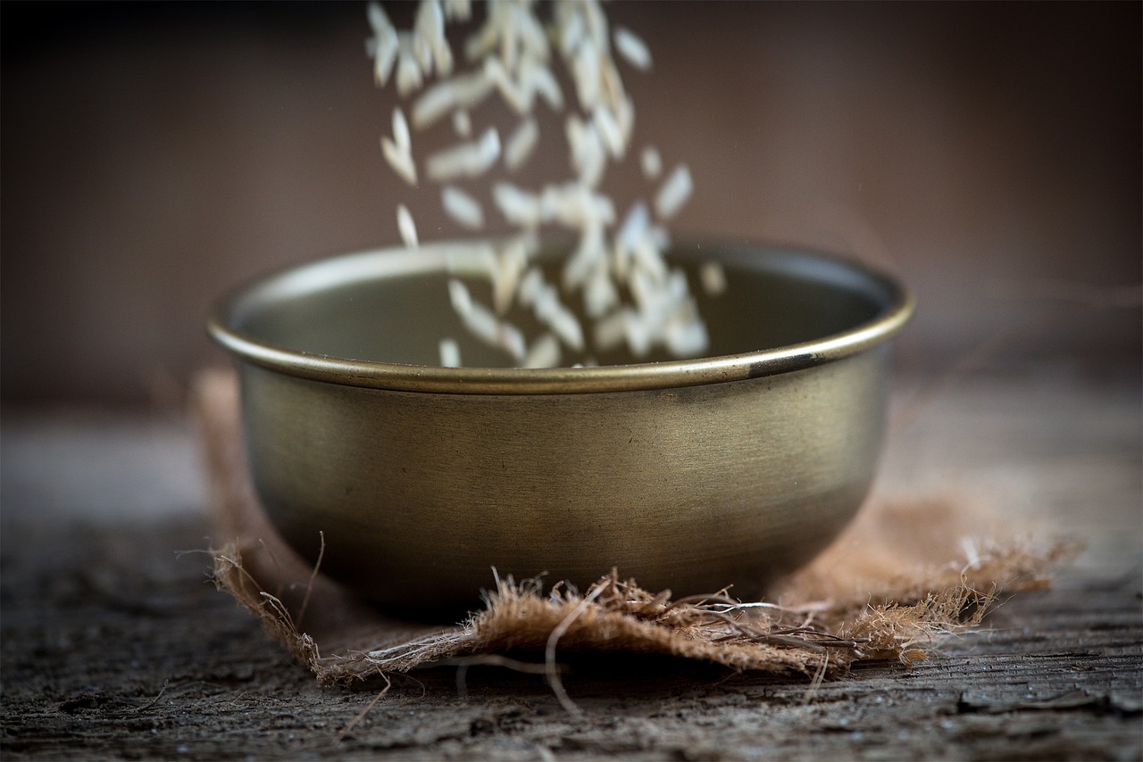 日照未來城最新動(dòng)態(tài)，城市發(fā)展的輝煌新篇章
