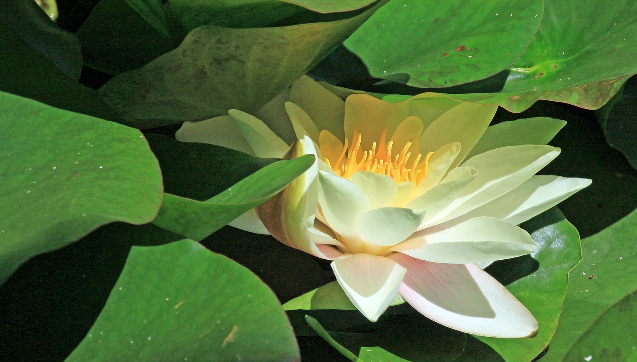 江門瓏湖灣未來繁華啟幕，最新動態(tài)揭示未來發(fā)展新篇章
